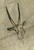 Oryx shop hallmark